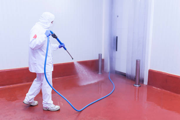 Best Rust Removal  in Willow Park, TX